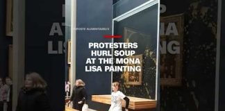 Protesters hurl soup at the Mona Lisa painting