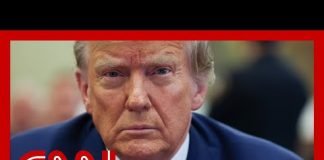 Trump takes stand. Hear why judge struck part of his testimony from the record