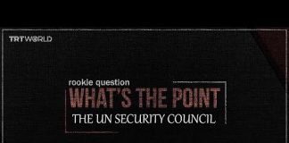 What’s the point of UN Security Council?