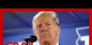 'A good day for Trump': Legal analyst on trial postponement