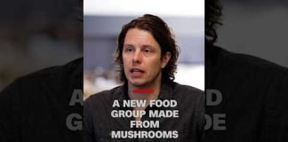 A new food group made from mushrooms