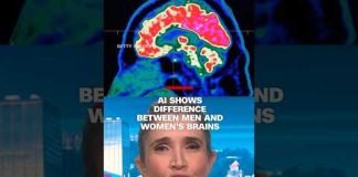 AI shows difference between men and women’s brain