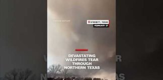 Devastating wildfires tear through northern Texas