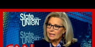 Liz Cheney slams ‘Putin-wing’ Republicans after Navalny’s death