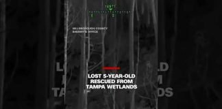 Lost 5-year-old rescued from Tampa wetlands