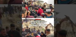 People in Gaza fight over aid dropped into sea
