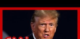 ‘Pulled out of thin air’: Daniel Dale fact-checks Trump’s claim about Ukraine