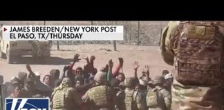 Ainsley Earhardt: Mainstream media doesn't want America to see this
