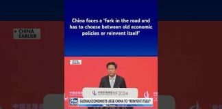 China urged to ‘reinvent itself’ by global economists #shorts