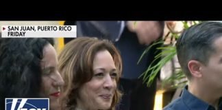 ‘CLUELESS KAMALA’: VP caught clapping along to anti-Israel protest song