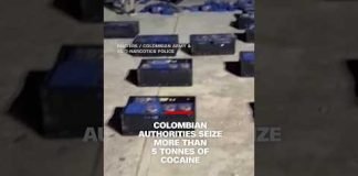 Cocaine hidden under avocados seized in Colombia