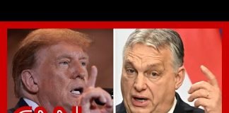Expert explains ‘the danger’ in Trump’s meeting with far-right leader