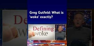 Greg Gutfeld: Is a person woke because their brain is broke? #shorts
