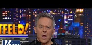 Gutfeld: Bernie is after billionaires