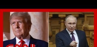 ‘He looks like a puppet to Putin’: Panel discusses Trump’s affection for dictators