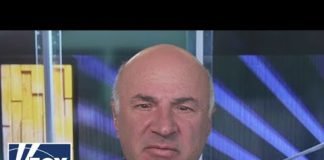 Kevin O'Leary reacts to Trump bond reduction: 'Thank goodness adults came to the rescue'
