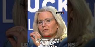 Liz Cheney warns US Supreme Court on Trump immunity case