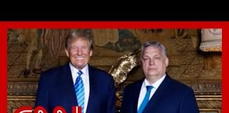 Orbán: Trump ‘will not give a penny to Ukraine’ if elected