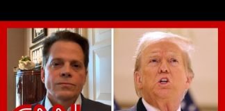 Scaramucci: Trump wants to be part of 'axis of autocracy'