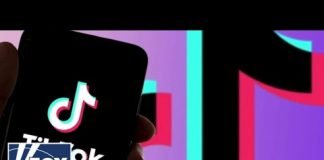 TikTok's CEO is a 'communist stooge': Sen. Tom Cotton