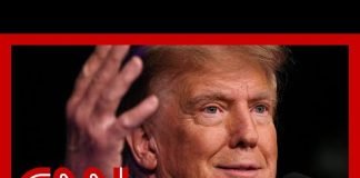 Trump goes after Haley as she drops out