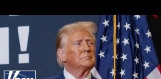 Trump legal cases saw the law 'stretched' for 'political points': John Yoo