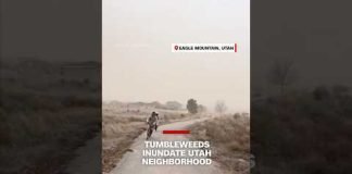 Tumbleweeds inundate Utah neighborhood