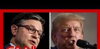 ‘A stunt for Donald Trump’: SE Cupp blasts Speaker Johnson’s trip to Mar-a-Lago