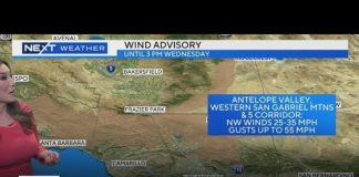 Amber Lee's Morning Weather (April 30)