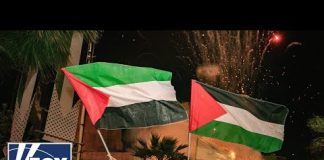 Anti-Israel protesters applaud Iranian attack