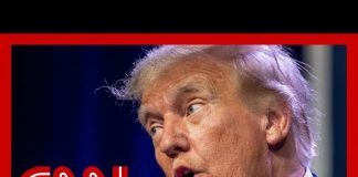 ‘Donald, let’s just be human’: Photographer describes shoot with Trump
