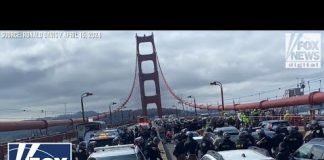 Driver trapped on bridge says anti-Israel protesters must face repercussions