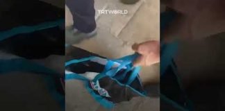 Extremist Jews attempt to smuggle goat into Al Aqsa