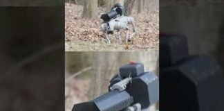 For less than $10,000, you can buy your own flame-throwing robot dog