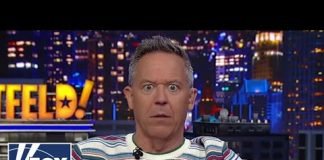 Gutfeld: Thieves show no respect for Congressman Pencilneck