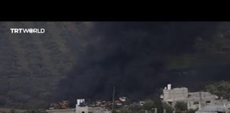Illegal settlers attack Palestinians in the occupied West Bank