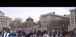 'LIBERATED ZONE': Columbia students hold Gaza protest on campus lawn