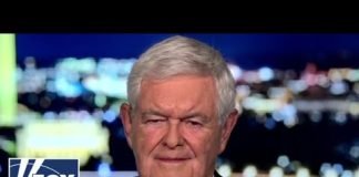 Newt Gingrich: Biden is beyond being a 'paper tiger'
