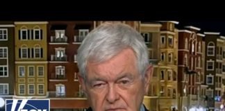 Newt Gingrich: Biden is violating the law every day