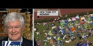 Newt Gingrich: There must be 'accountability' for colleges rife with anti-Israel chaos