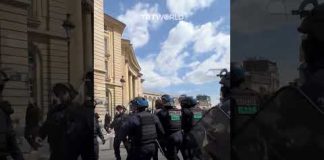 Pro-Palestinian protester aggressively tackled by Paris police