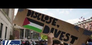'Professional agitators, anarchists' are 'taking over' college protests, Turley warns
