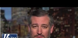 Ted Cruz: Biden views migrants flown to Texas as future Dem votes