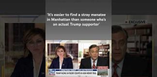 This is an absurd case: Jonathan Turley #shorts