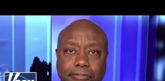 Tim Scott: Mayorkas is 'guilty of the greatest invasion in American history'
