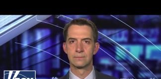 Tom Cotton: Dems may be using anti-Israel protests to create diplomatic 'daylight'