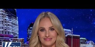 Tomi Lahren: This concerns me