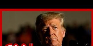 Trump posts Fox News clip to his social media. Expert thinks it violates gag order