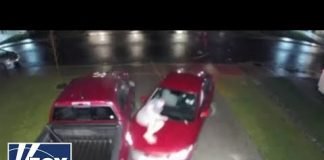 Washington state man evades death when attempted car theft turns violent