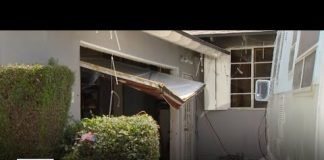 2 dogs dead after house fire in Canoga Park